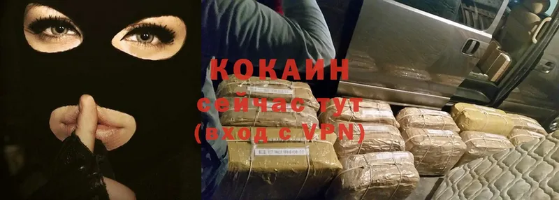 MEGA как войти  Нижняя Тура  Cocaine Эквадор 