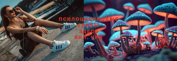 хмурый Надым