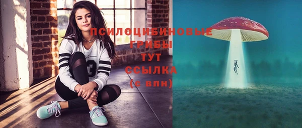 хмурый Надым
