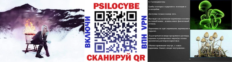 маркетплейс Telegram  дарнет шоп  Нижняя Тура  Псилоцибиновые грибы Psilocybine cubensis 